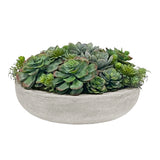 Succulent Mix in Round Bowl 7"