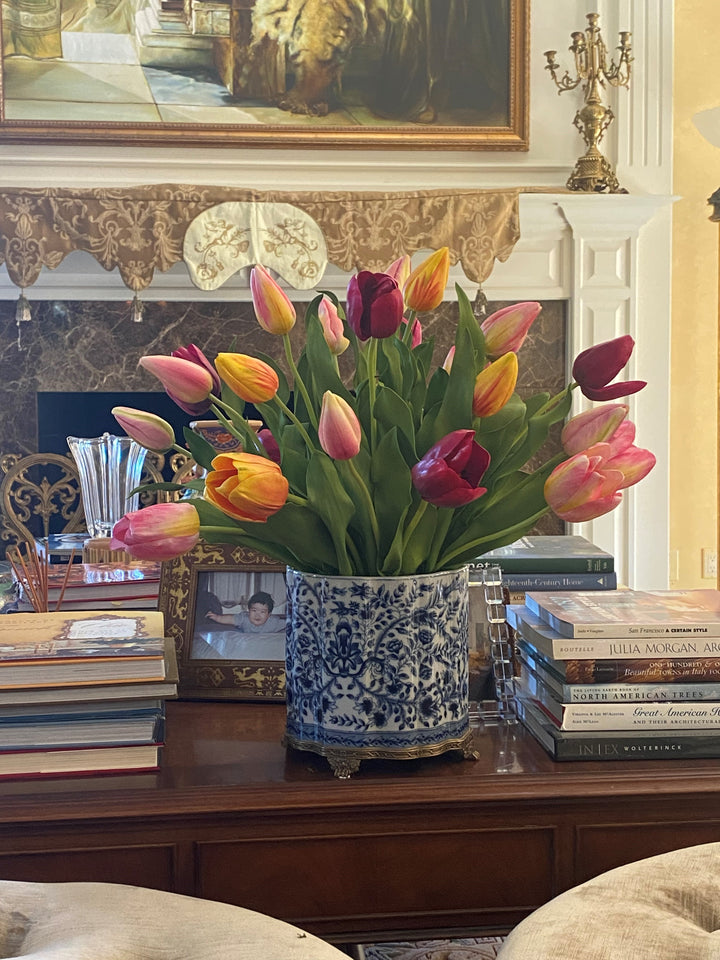 Mix Tulips in a Pot 22 inches tall | Winward Home