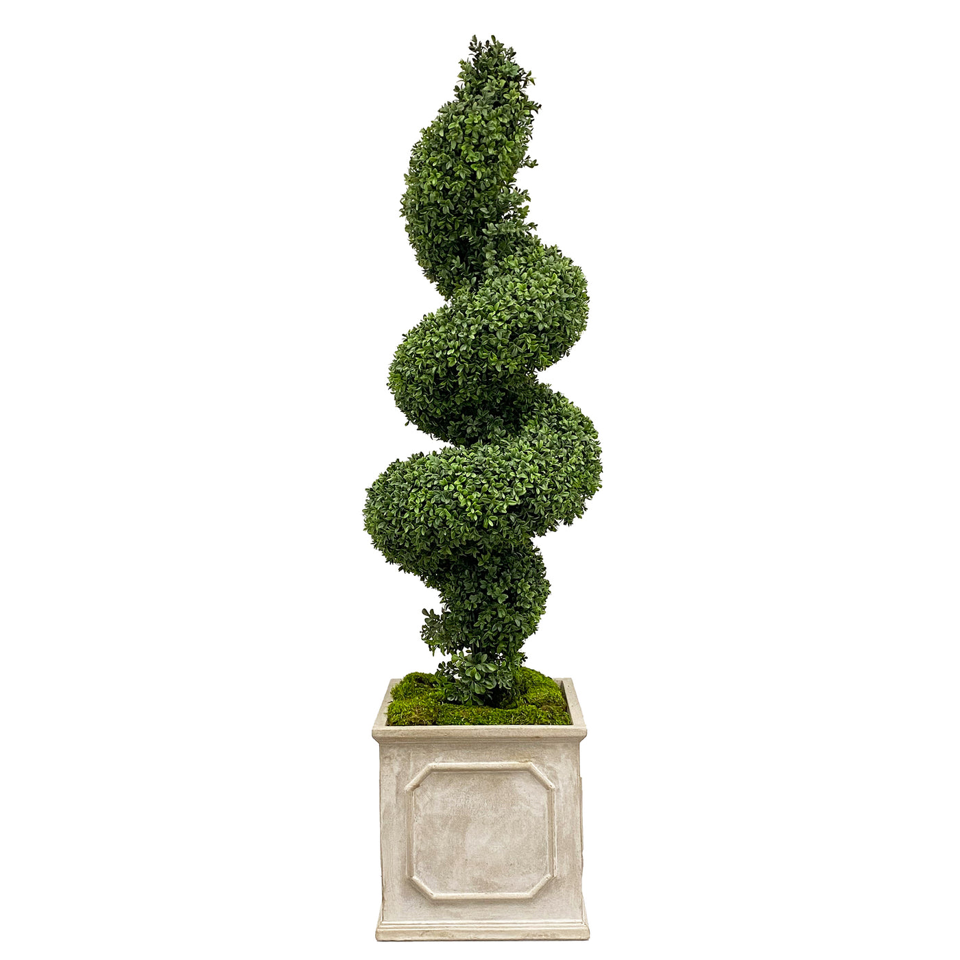 high-quality large spiral faux boxwood in planter