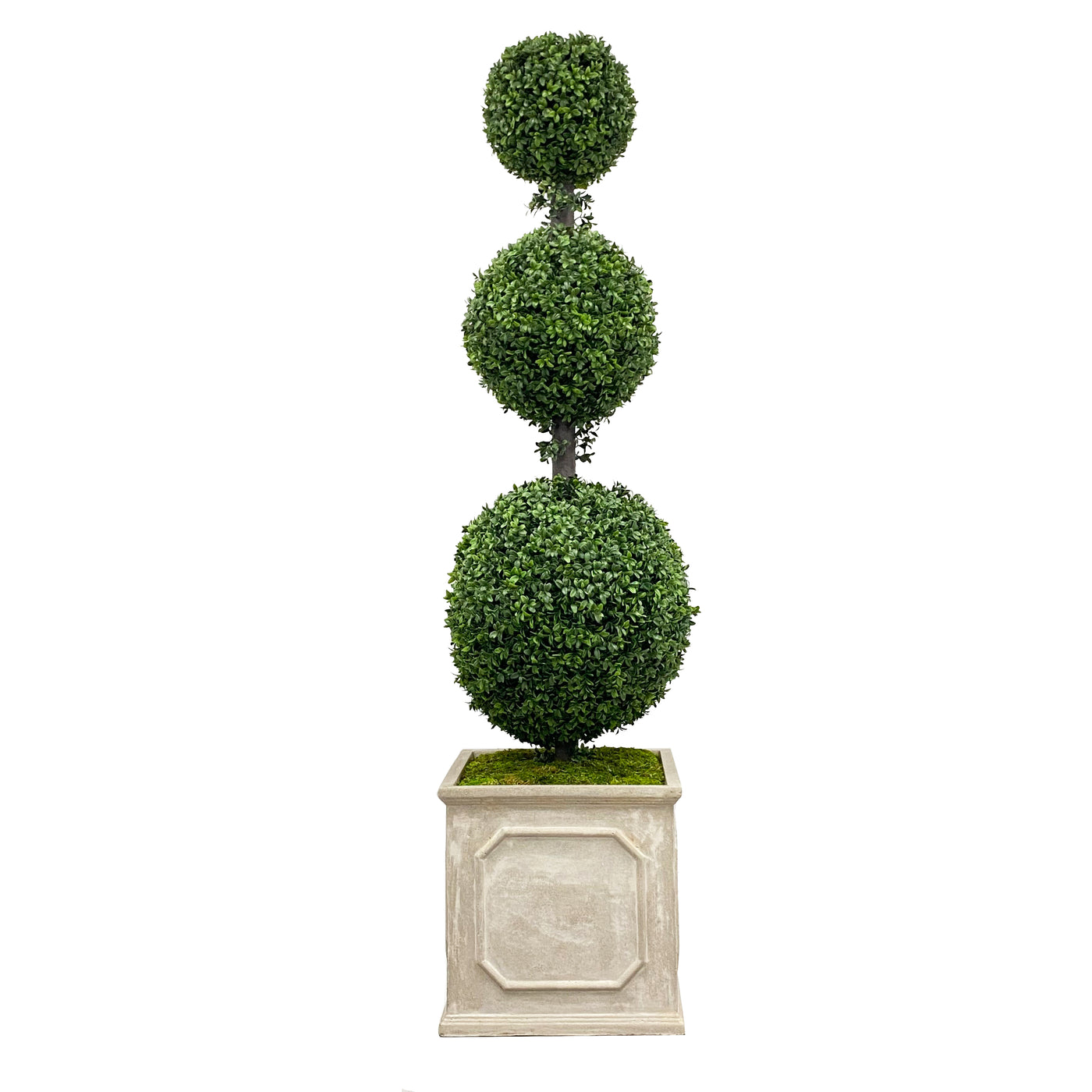 high quality faux triple boxwood topiary in planter for indoor and outdoor use
