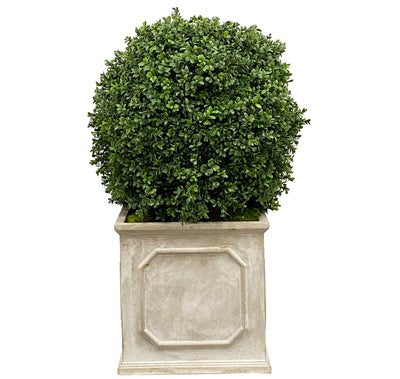 high quality faux boxwood in planter for indoor or outdoor use