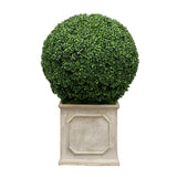 high quality faux boxwood in planter for indoor or outdoor use