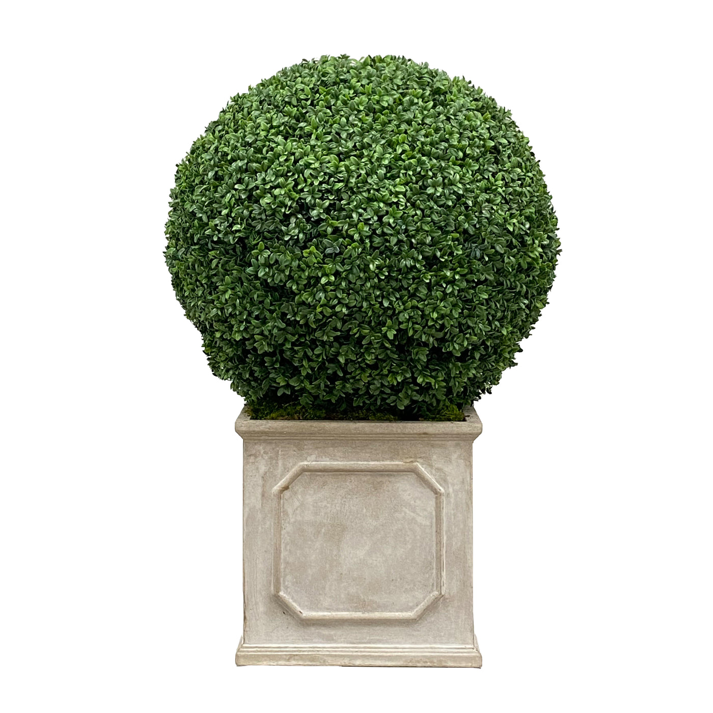 high quality faux boxwood in planter for indoor or outdoor use