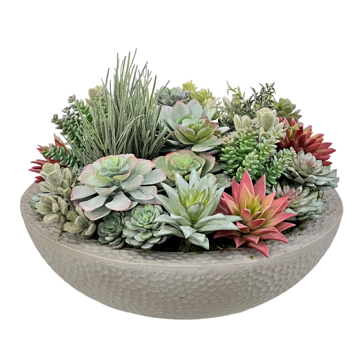 handcrafted high-quality mix succulents in low-profile round planter
