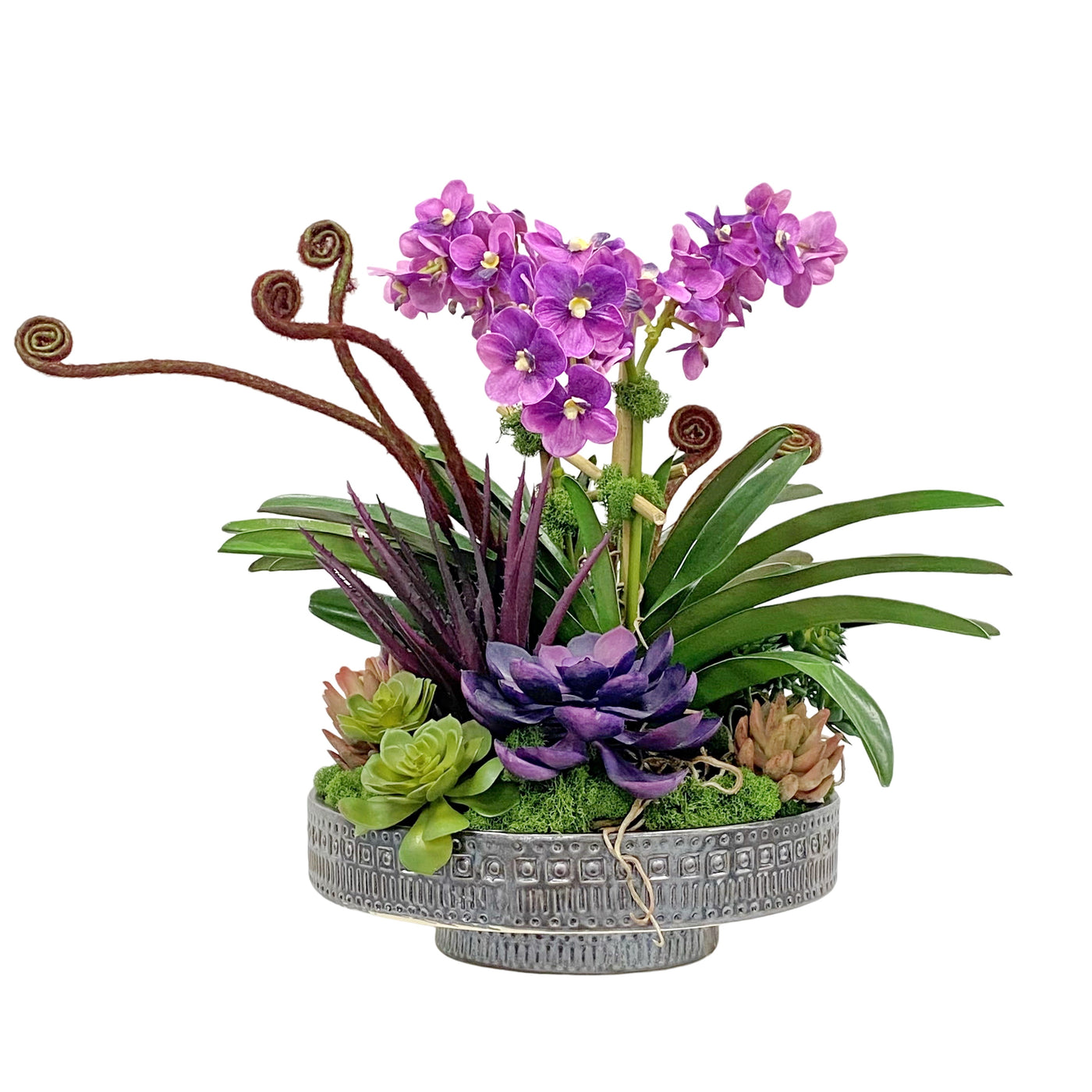 color orchids succulent Winward Home Vanda Orchid Succulent 19" Faux Floral Arrangement in Terracotta Planter