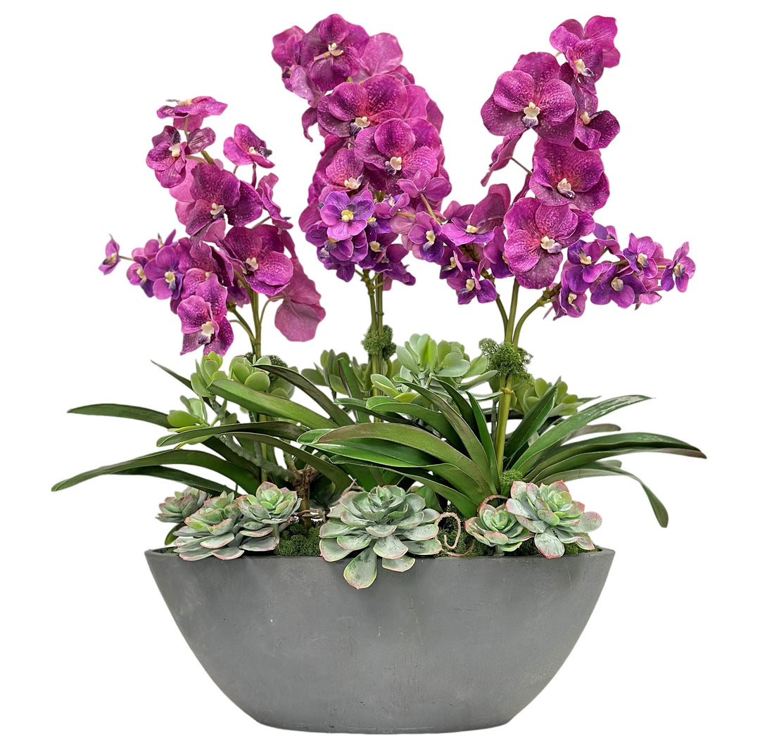 large oval plant pot Winward Home Vanda Orchid in Oval Planter, 30.5