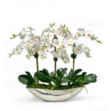 white orchid plant in a contemporary silver metallic boat vase luxury faux flower arrangement