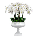 White orchid flower arrangement in beautiful white pot with stand placed against a white background.