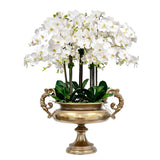 Hand-crafted orchid arrangement in a decorative urn with lush white blooms, green foliage, in a golden urn placed against a white background