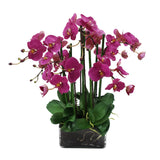 Fuchsia phalaenopsis orchid arrangement in a modern square glass vase