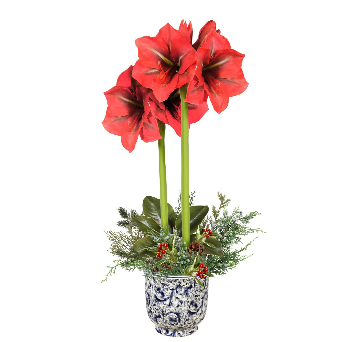 Amaryllis Arrangement