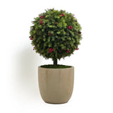Exquisite luxury faux pine plant in ball-shape with red berries potted in a contemporary planter for holiday decorating