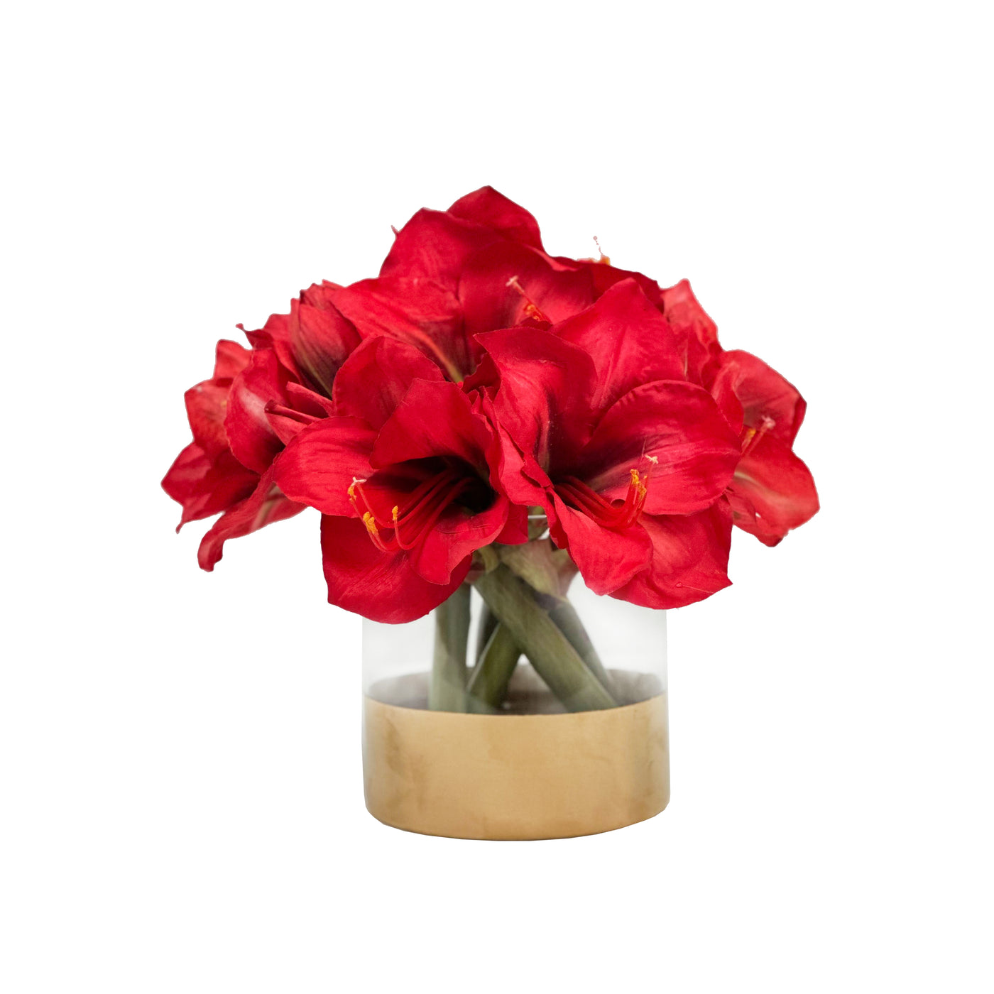 Red amaryllis floral arrangement in a modern cylinder vase, against a white background