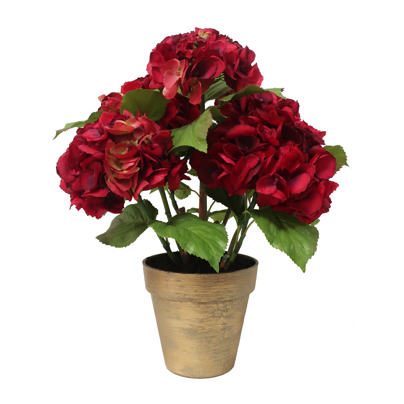 Hand-crafted deep red hydrangea floral arrangement in a porcelain pot with green foliage, for festive display against white background
