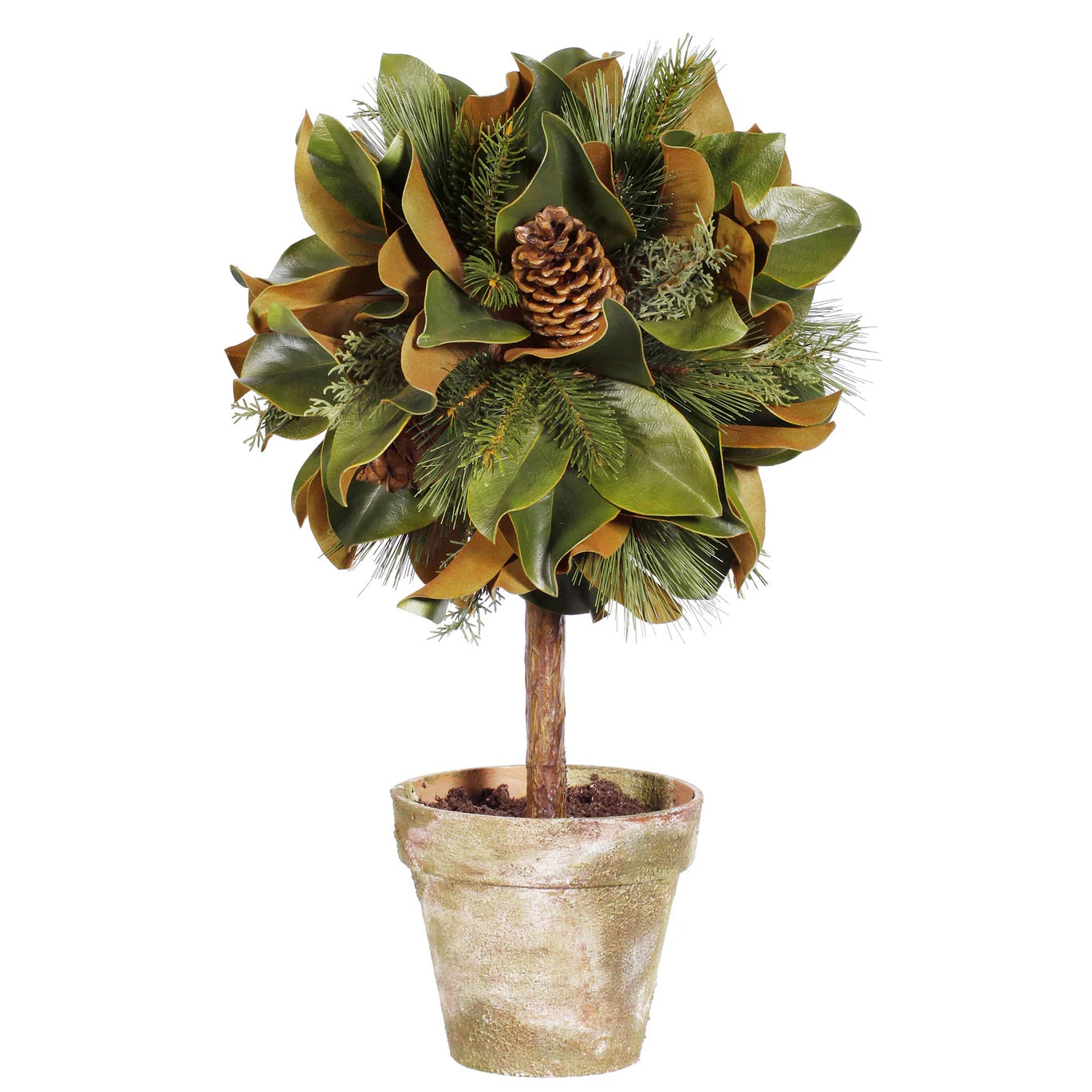 Magnolia Leaf Topiary 26"