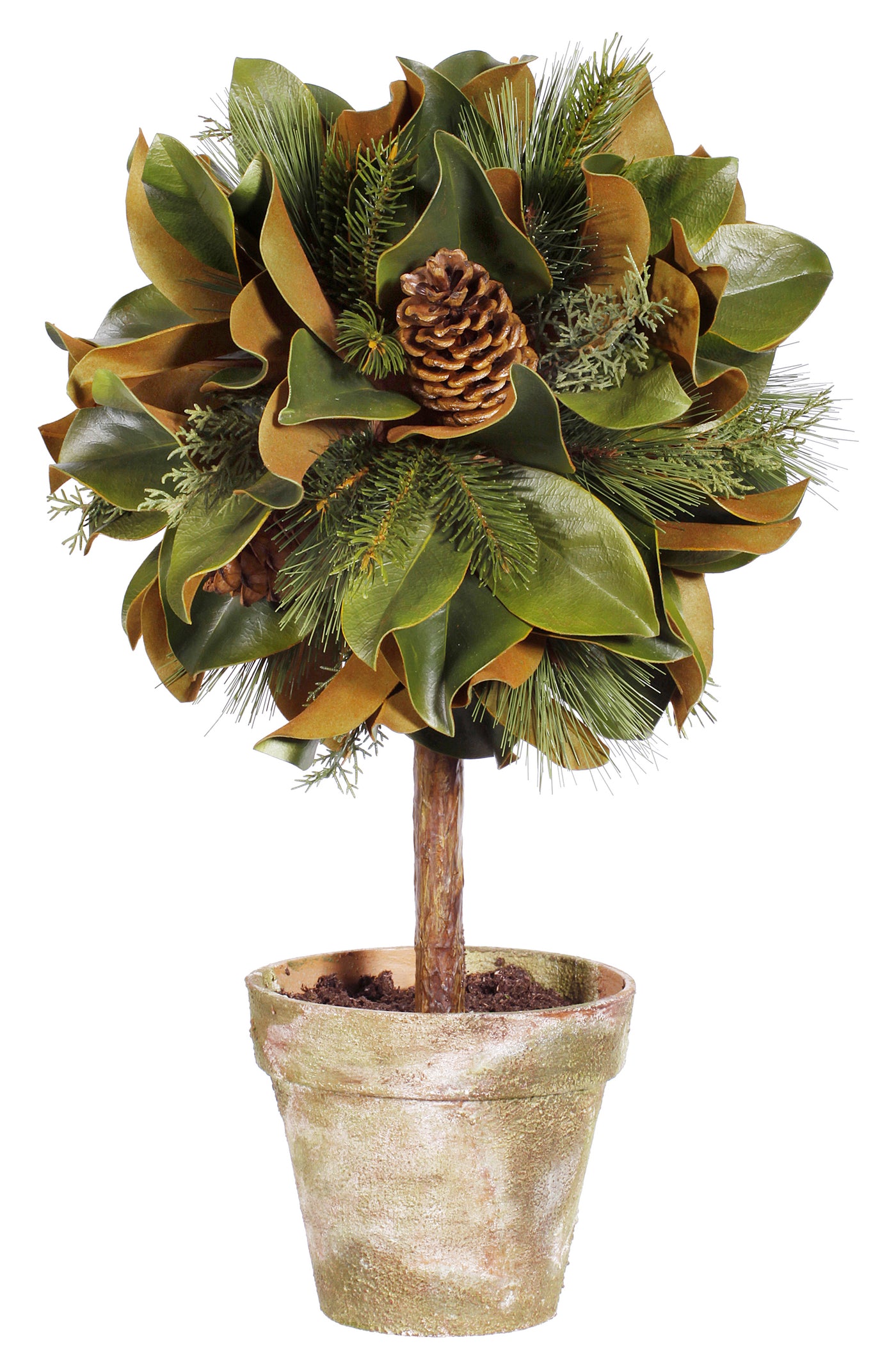 Magnolia Leaf Topiary 26