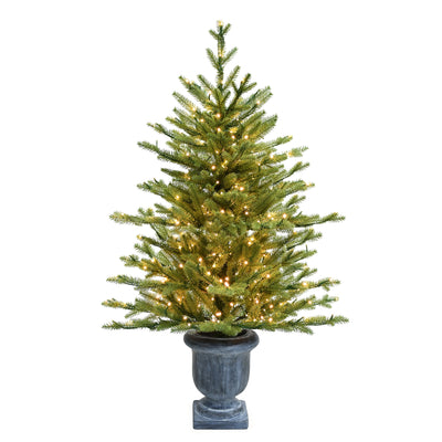 3.5 ft. Deluxe Potted St Catherine Tree