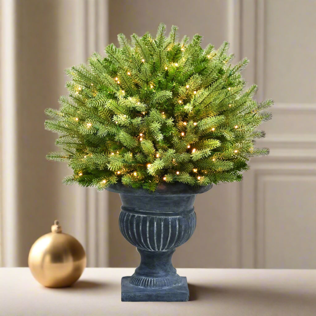 2 ft. Deluxe Potted Round St. Catherine Tree