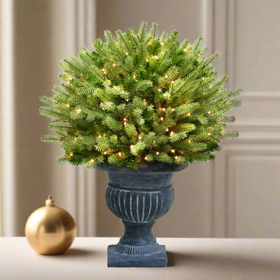 2 ft. Deluxe Potted Round St. Catherine Tree