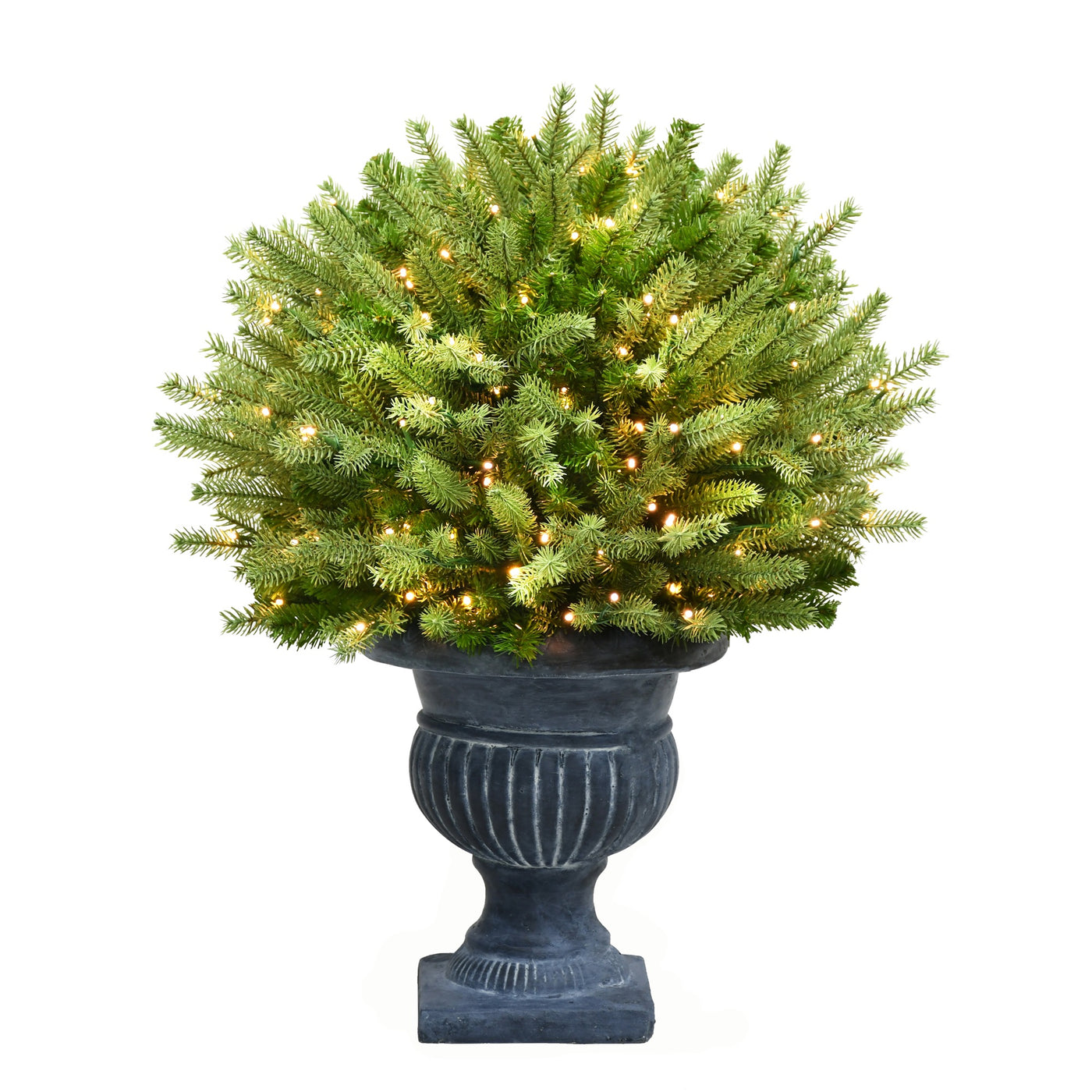 2 ft. Deluxe Potted Round St. Catherine Tree