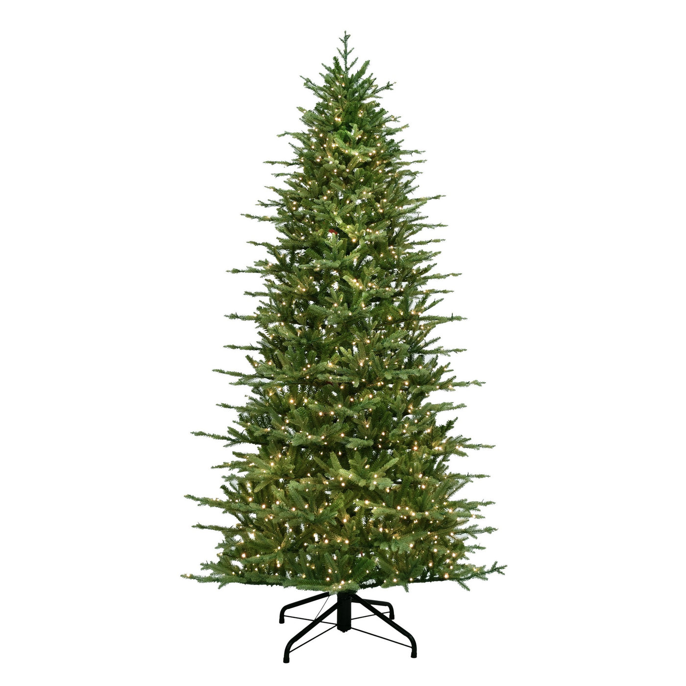 9 ft. St. Catherine Slim Tree