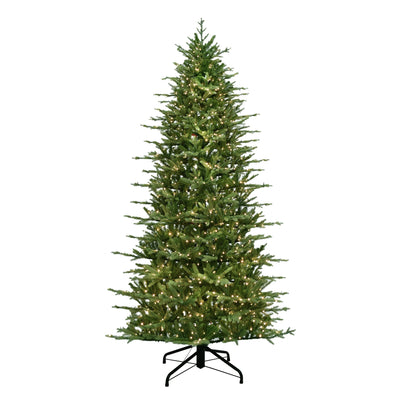 9 ft. St. Catherine Slim Tree