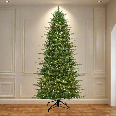 9 ft. St. Catherine Slim Tree