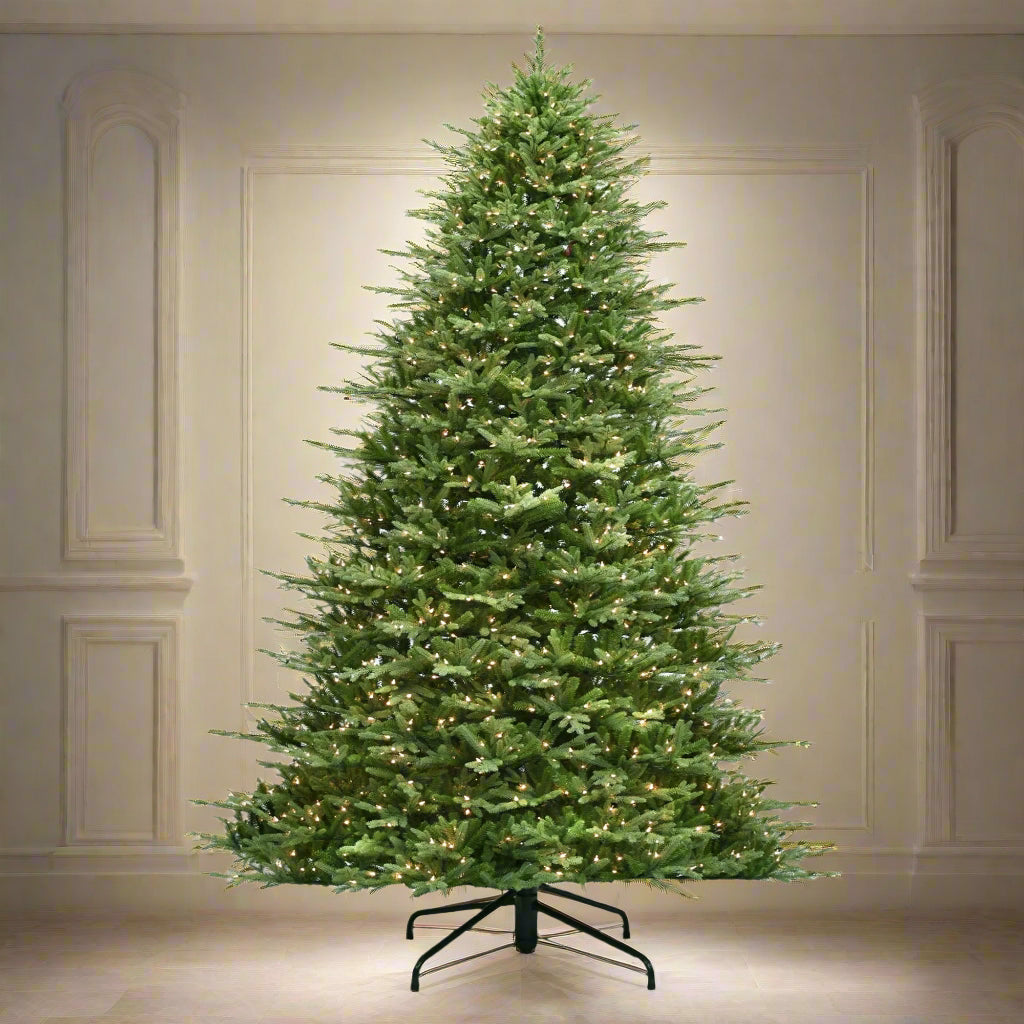 12 ft. St. Catherine Full Tree
