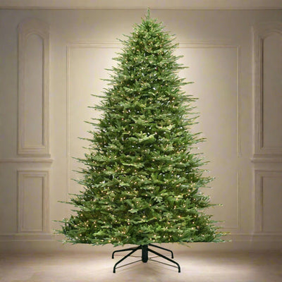 12 ft. St. Catherine Full Tree