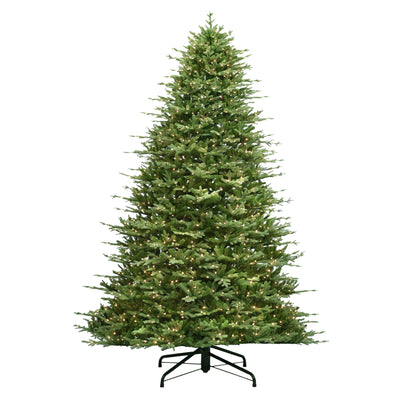 12 ft. St. Catherine Full Tree