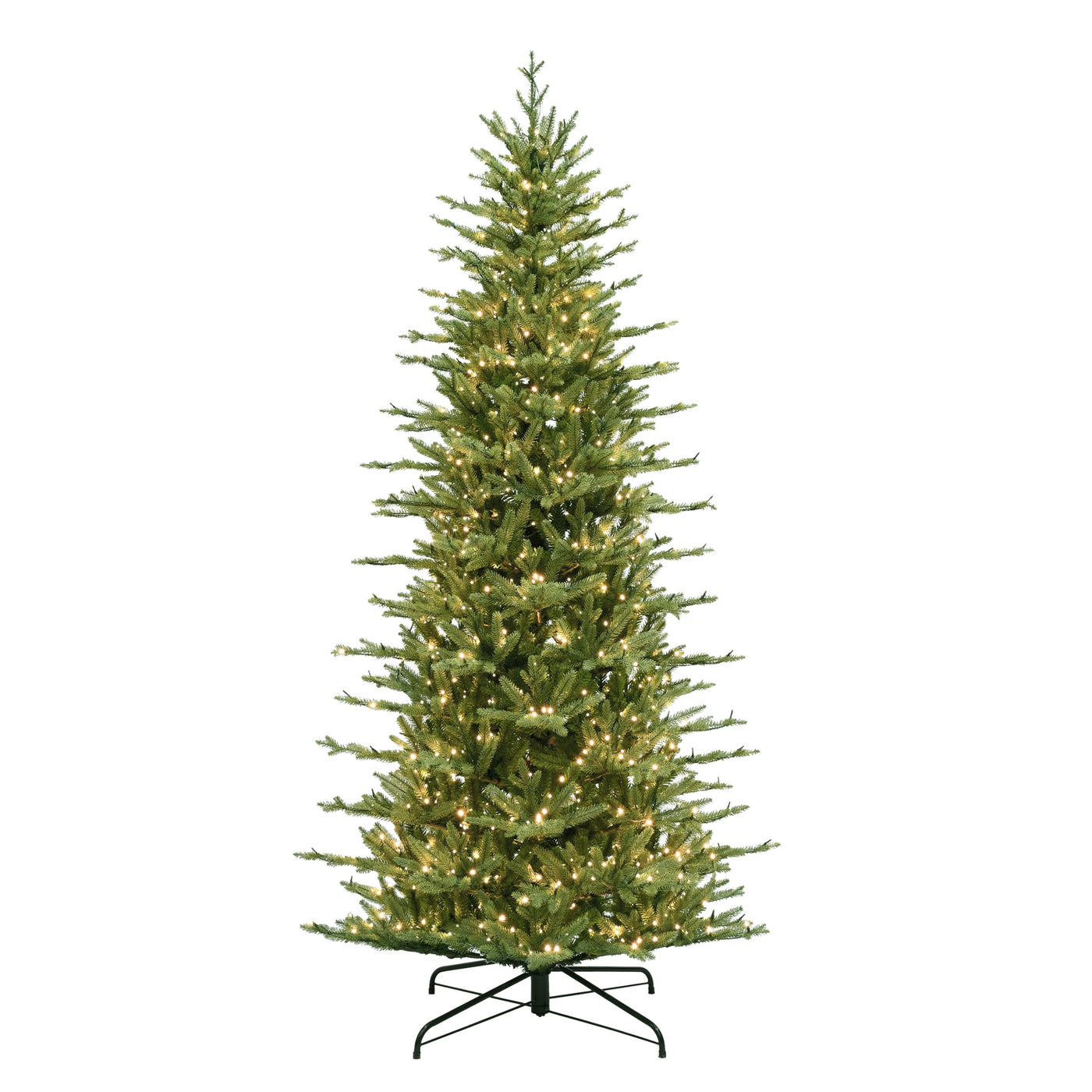7.5 ft. St. Catherine Pencil Tree