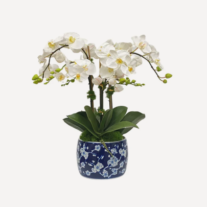 Faux orchids