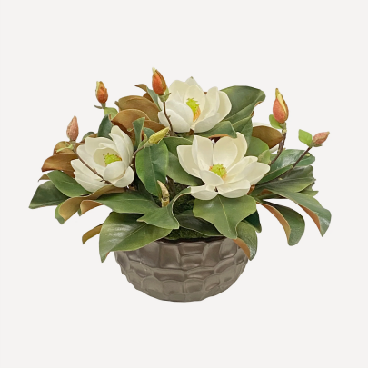 Magnolias