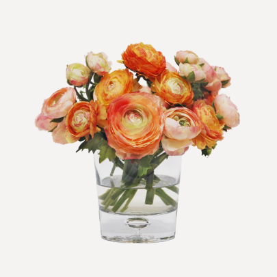 Ranunculus