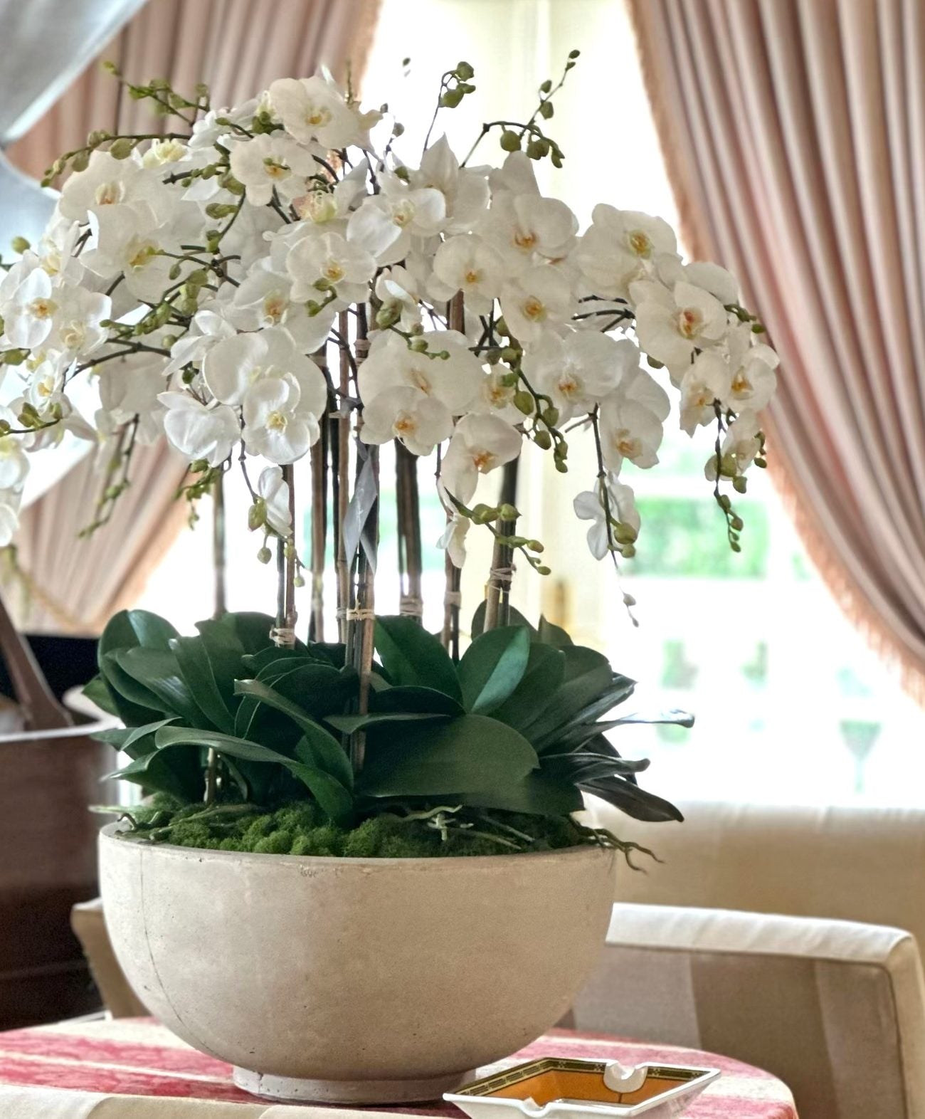 Orchid Society collection