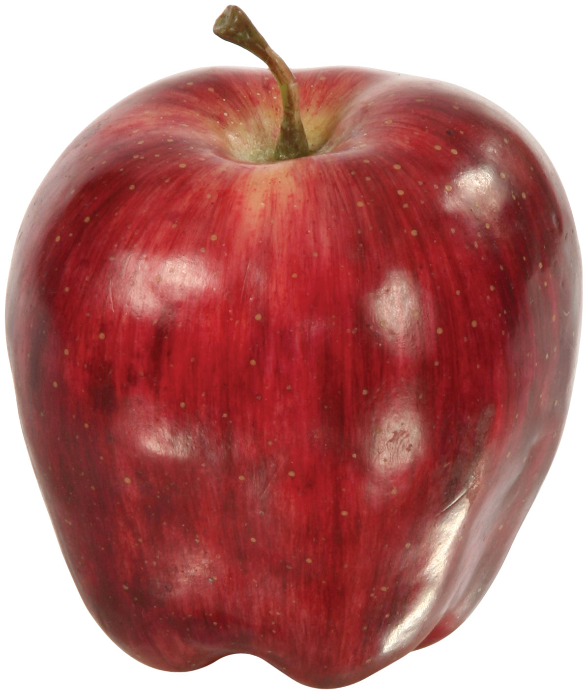 DELICIOUS RED APPLE (set of 6)