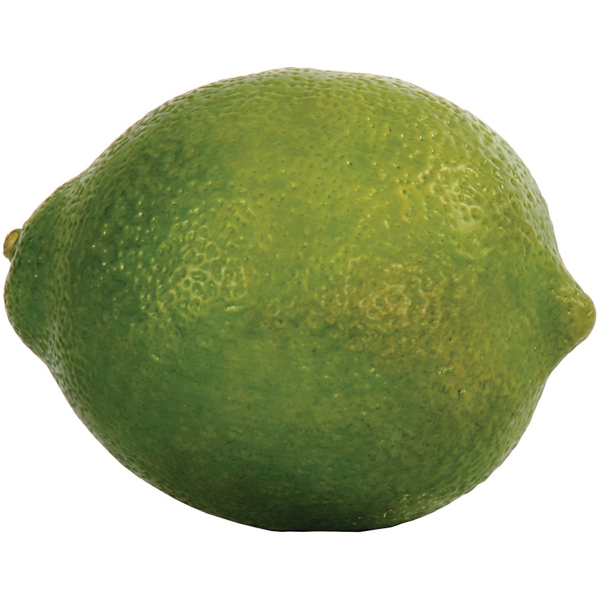 Lime (set of 12)