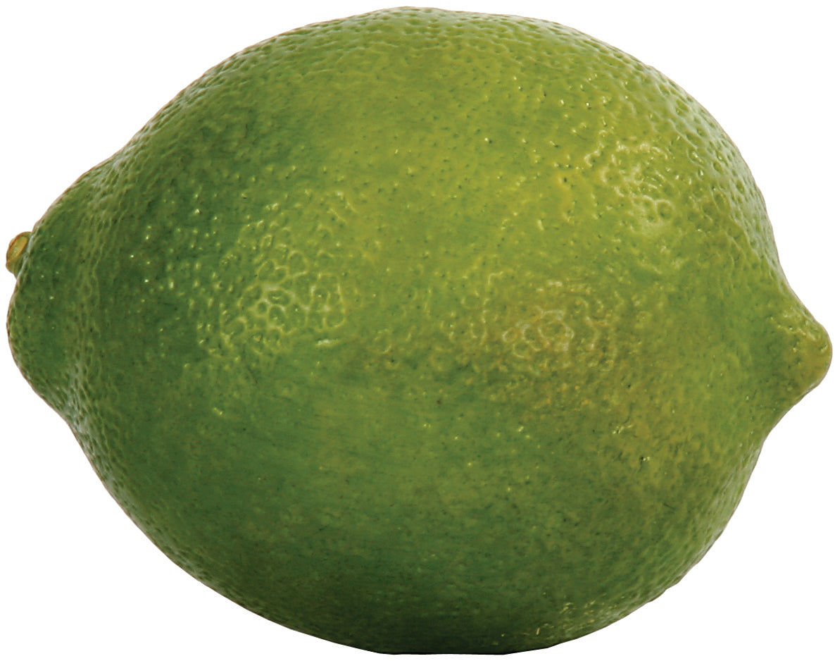 Lime (set of 12)