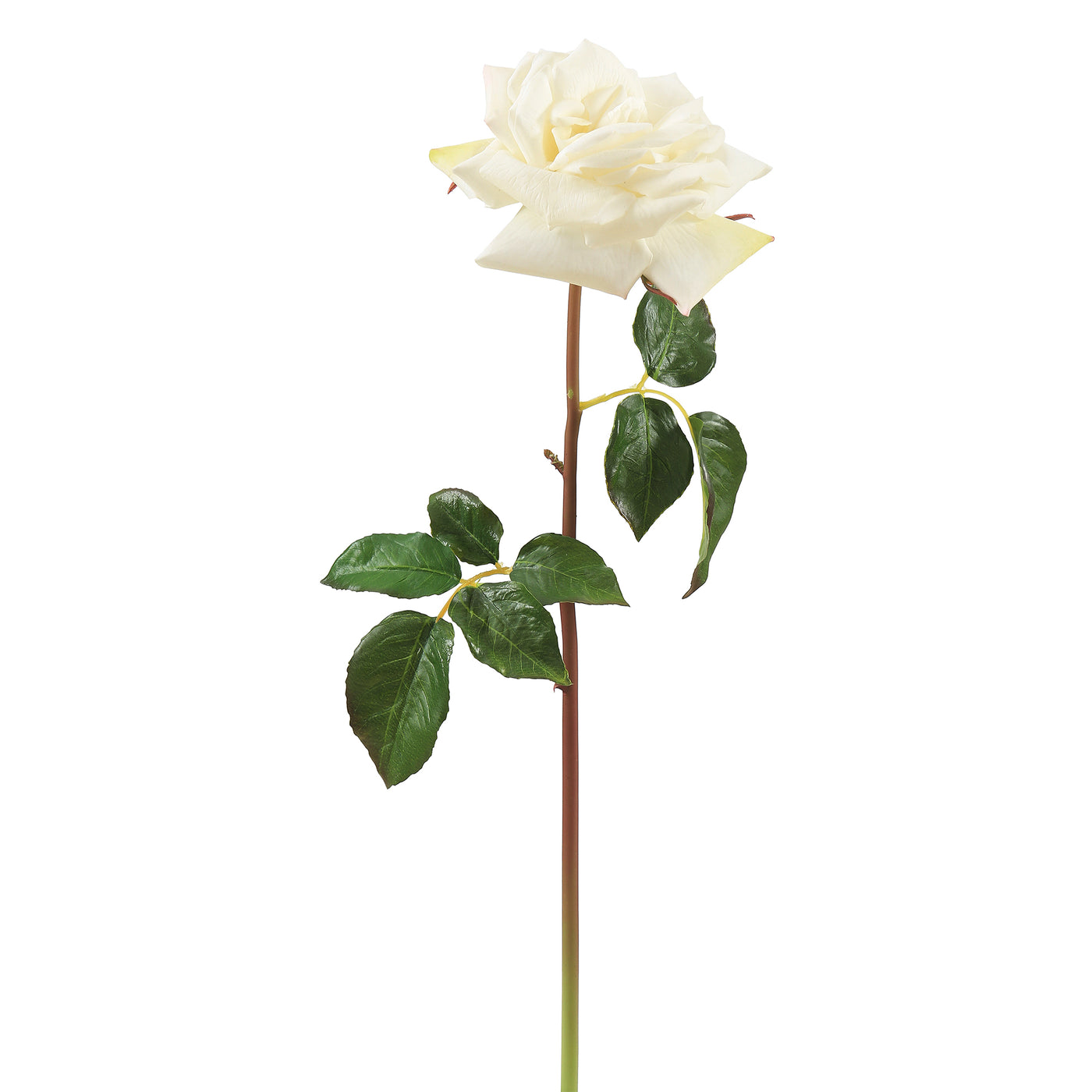 Incredibly realistic Real Touch faux rose