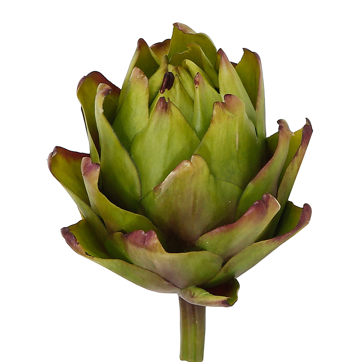 Artichoke (set of 12)