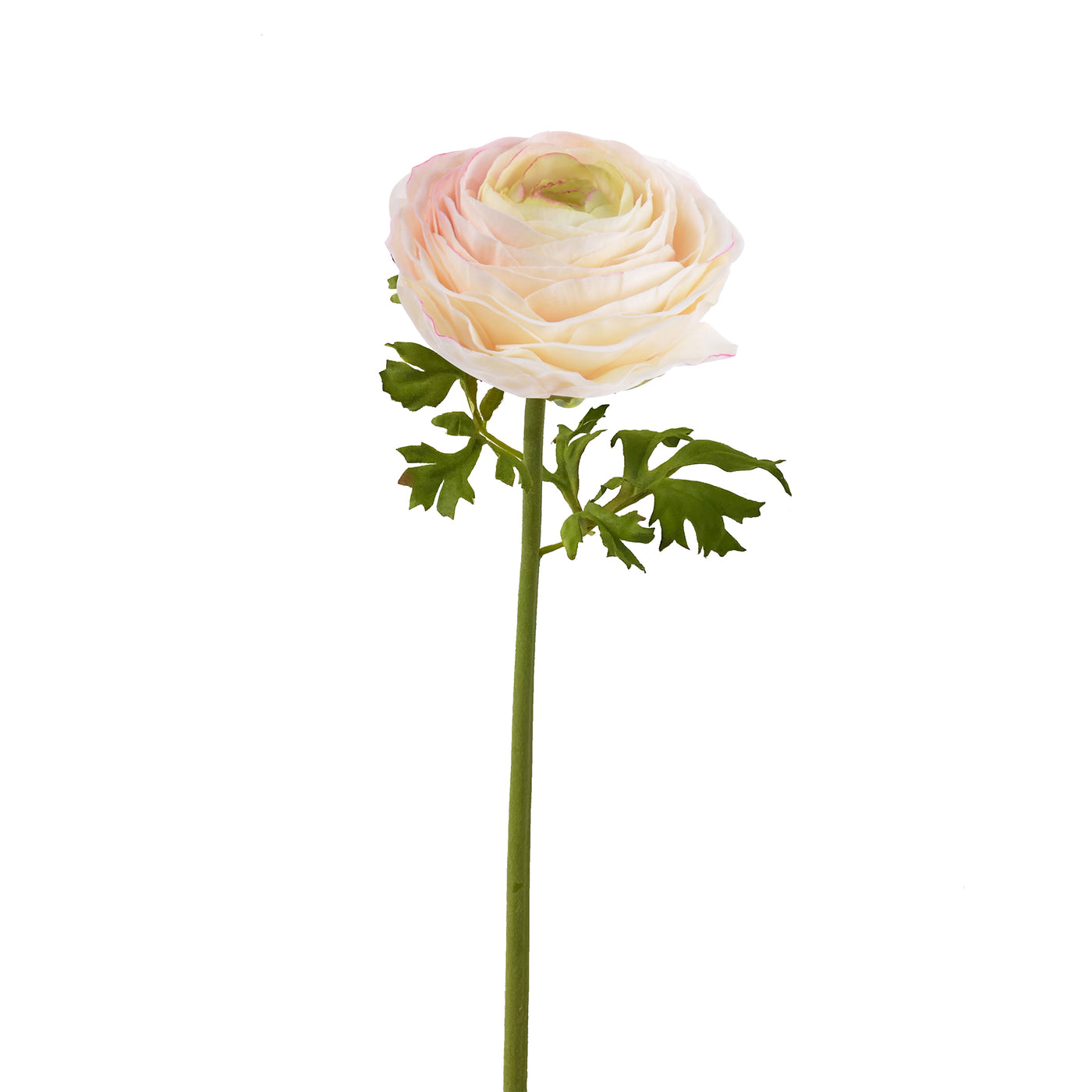 Handcrafted Real Touch faux ranunculus