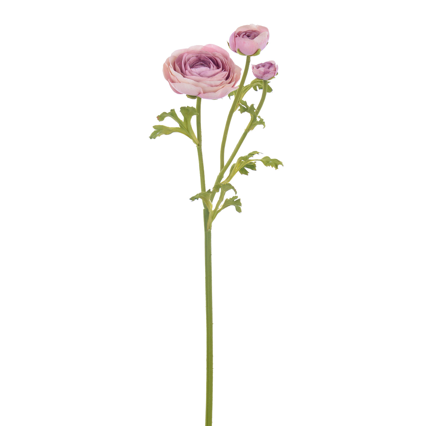 Life-like high-quality Real Touch faux ranunculus