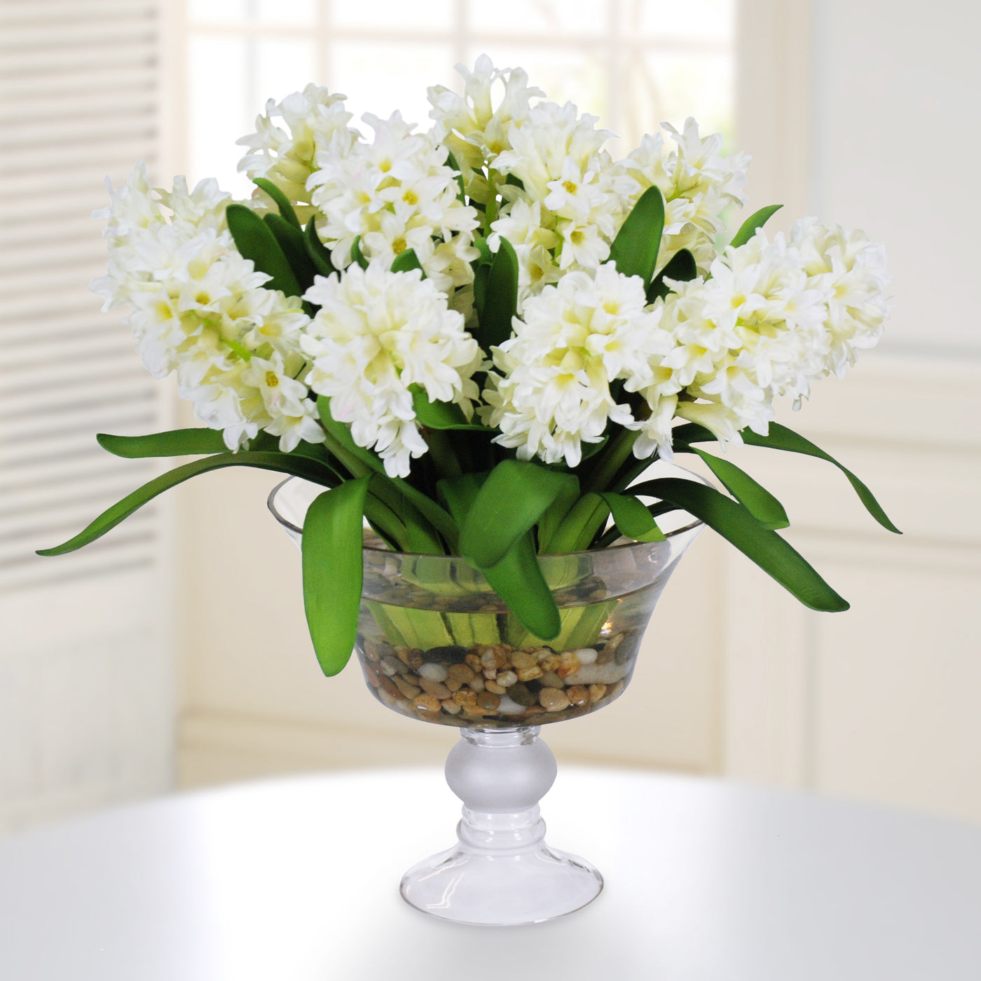 HYACINTH IN GLASS W/ ROCKS (DP680-WH)