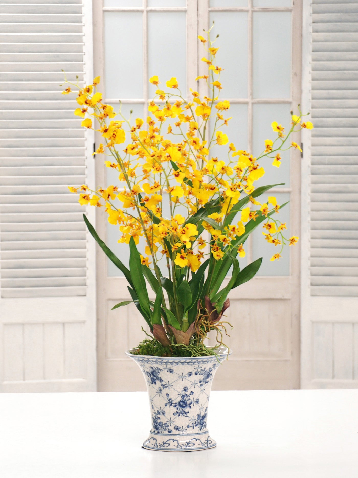 ONCIDIUM ORCHID CHINOISERIE (DP768-YL) - Winward Home faux floral arrangements