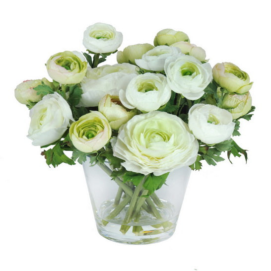 RANUNCULUS IN GLASS 10"