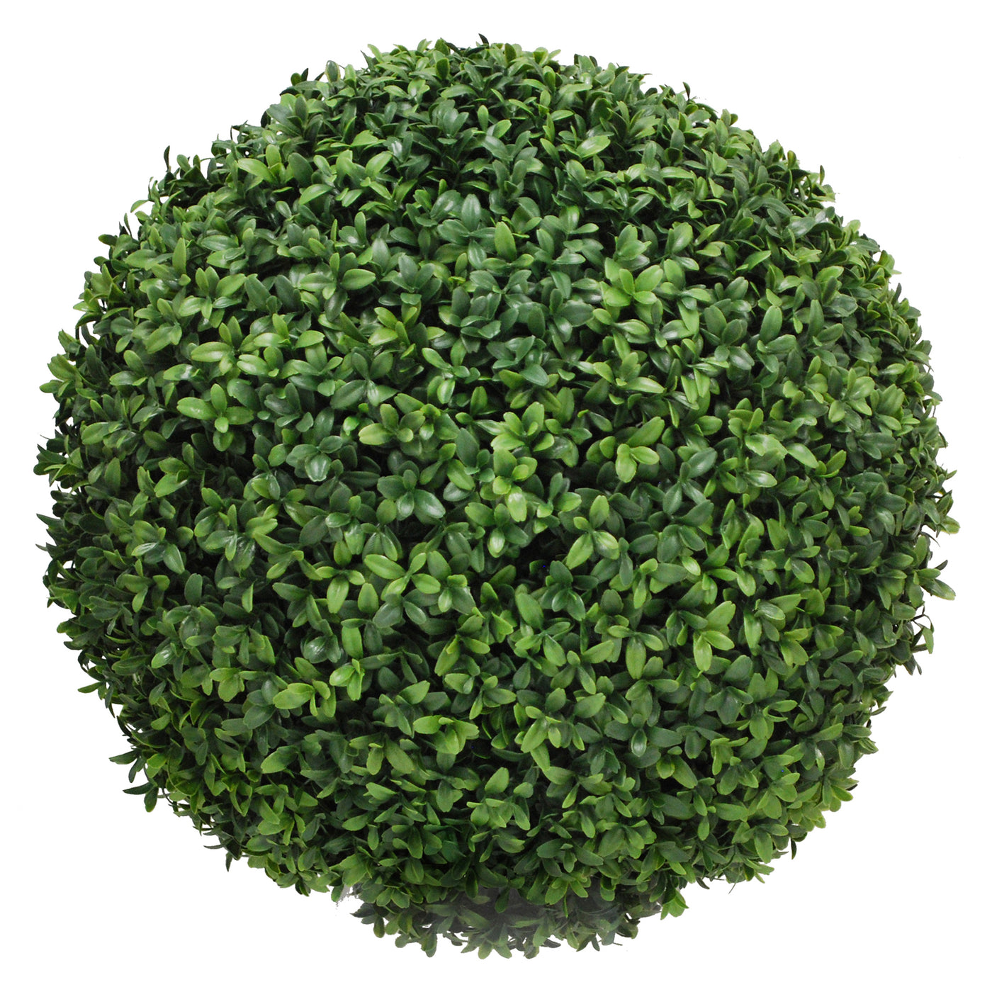 BOXWOOD BALL 20"