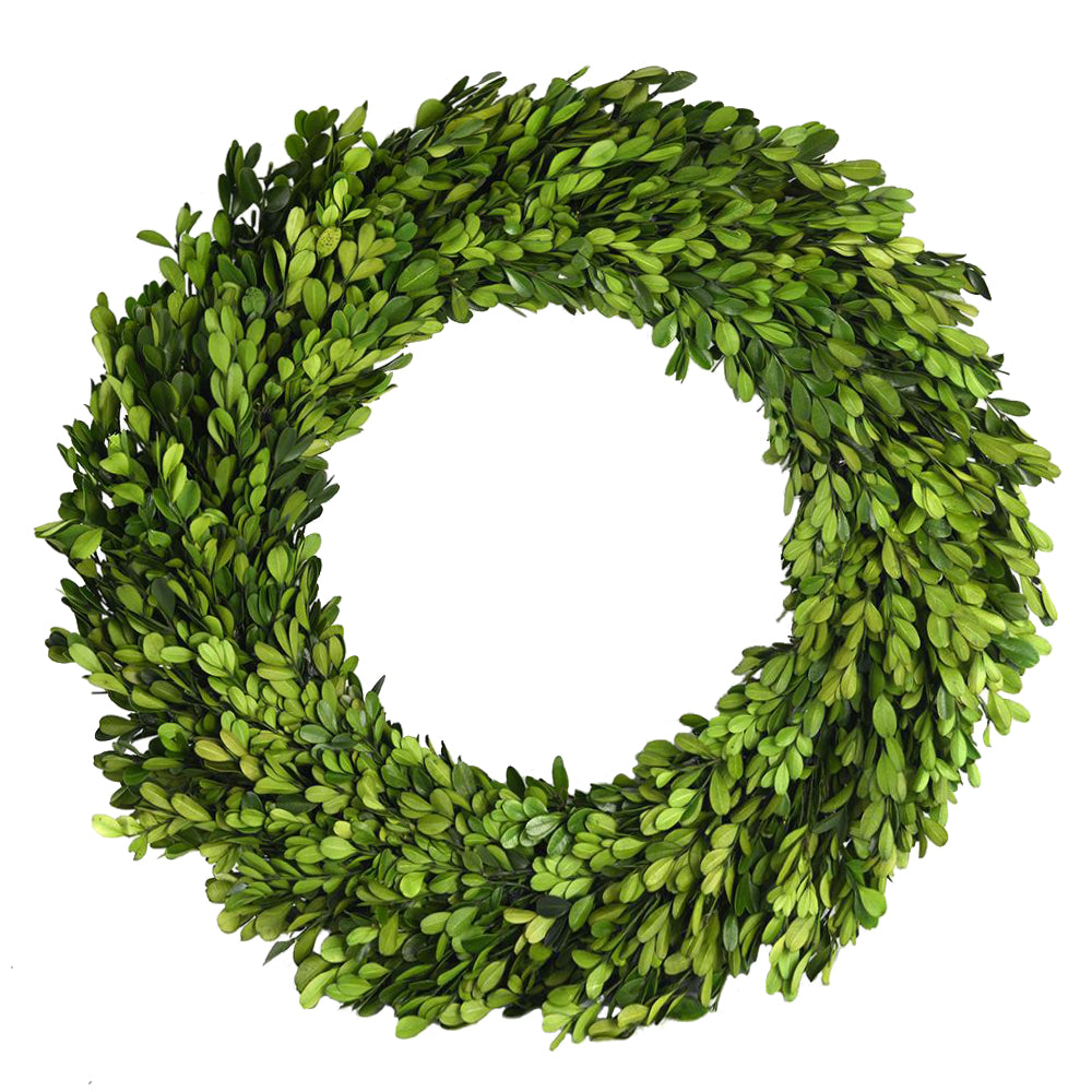 PRESERVED BOXWOOD WREATH 36"