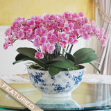 Vibrant faux Phalaenopsis orchid arrangement in a blue and white decorative planter styled for luxury interior décor.