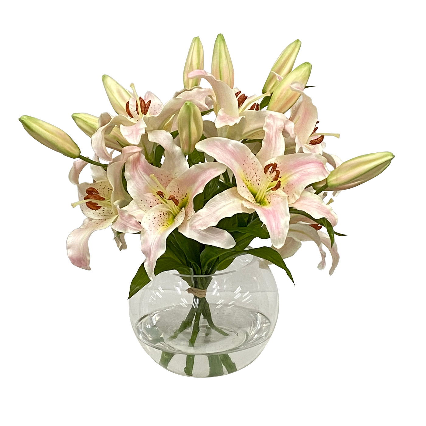Casablanca in Glass Bowl 16"