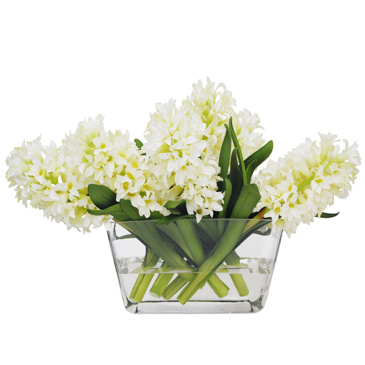 Hyacinth in Glass Vase 14"